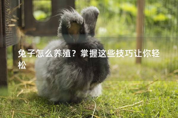 兔子怎么养殖？掌握这些技巧让你轻松
