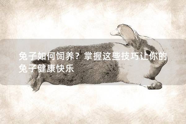 兔子如何饲养？掌握这些技巧让你的兔子健康快乐
