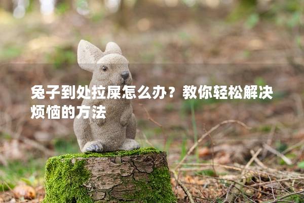 兔子到处拉屎怎么办？教你轻松解决烦恼的方法