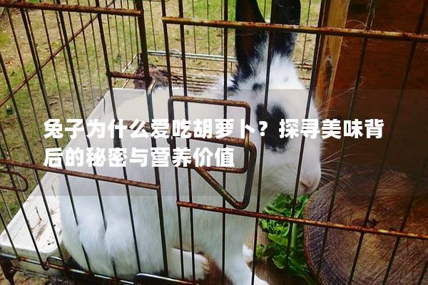 兔子为什么爱吃胡萝卜？探寻美味背后的秘密与营养价值