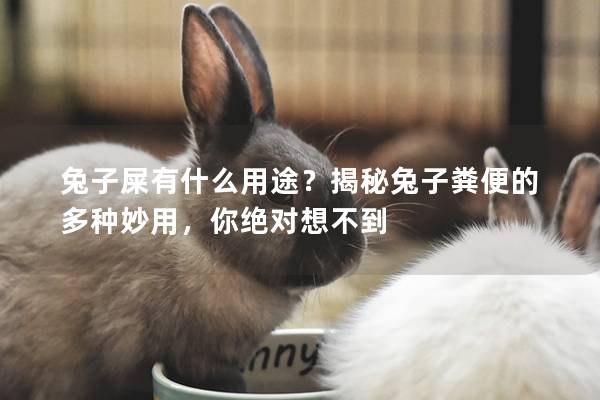 兔子屎有什么用途？揭秘兔子粪便的多种妙用，你绝对想不到