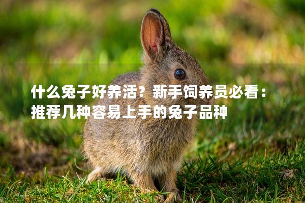 什么兔子好养活？新手饲养员必看：推荐几种容易上手的兔子品种