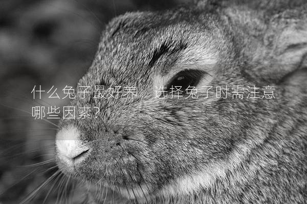 什么兔子最好养，选择兔子时需注意哪些因素？