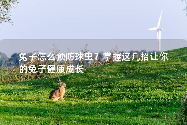 兔子怎么预防球虫？掌握这几招让你的兔子健康成长