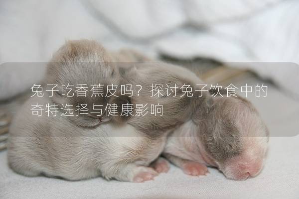 兔子吃香蕉皮吗？探讨兔子饮食中的奇特选择与健康影响