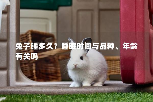 兔子睡多久？睡眠时间与品种、年龄有关吗
