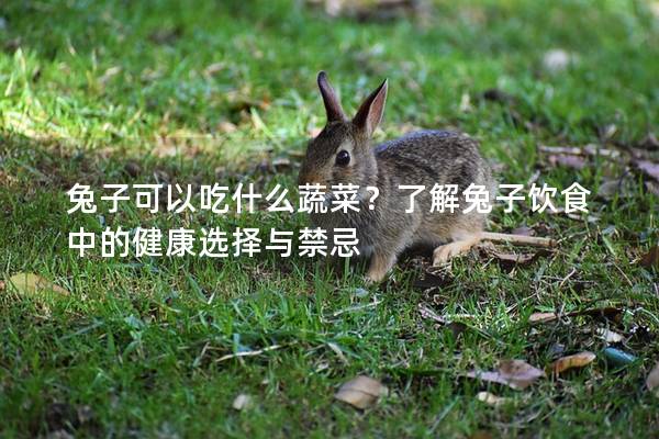 兔子可以吃什么蔬菜？了解兔子饮食中的健康选择与禁忌