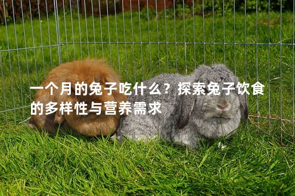 一个月的兔子吃什么？探索兔子饮食的多样性与营养需求