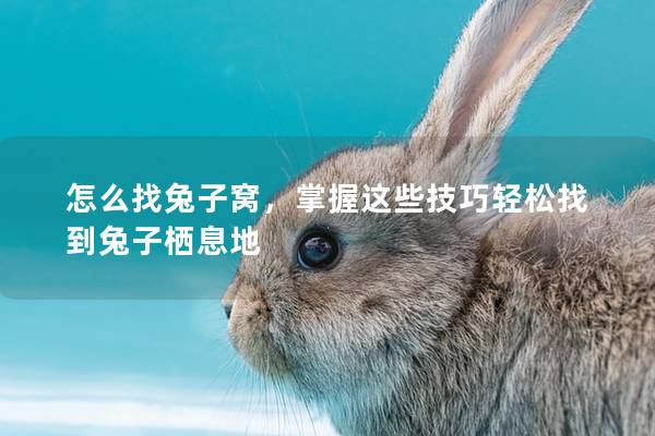 怎么找兔子窝，掌握这些技巧轻松找到兔子栖息地