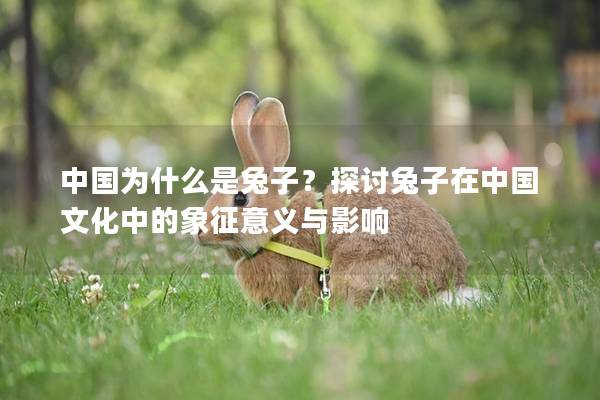 中国为什么是兔子？探讨兔子在中国文化中的象征意义与影响