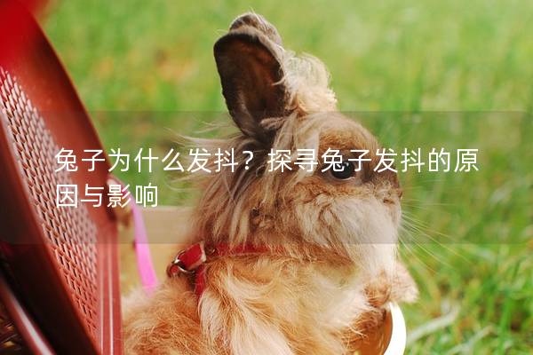 兔子为什么发抖？探寻兔子发抖的原因与影响