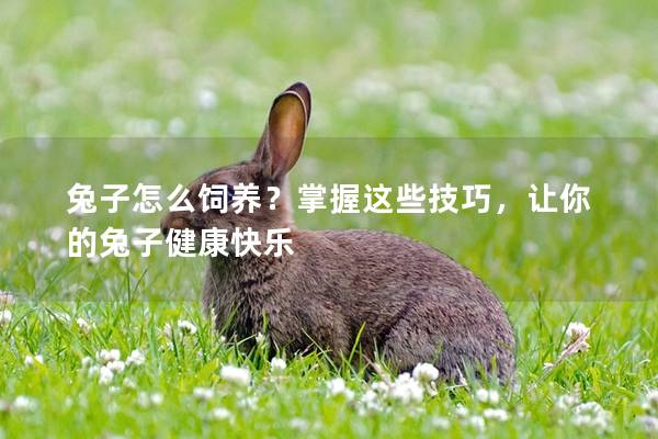 兔子怎么饲养？掌握这些技巧，让你的兔子健康快乐