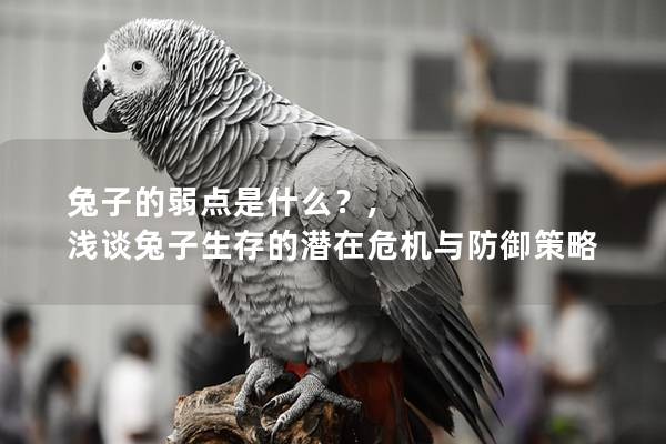 兔子的弱点是什么？, 浅谈兔子生存的潜在危机与防御策略
