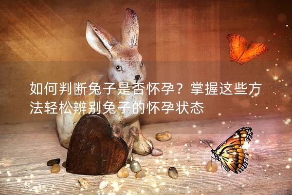 如何判断兔子是否怀孕？掌握这些方法轻松辨别兔子的怀孕状态