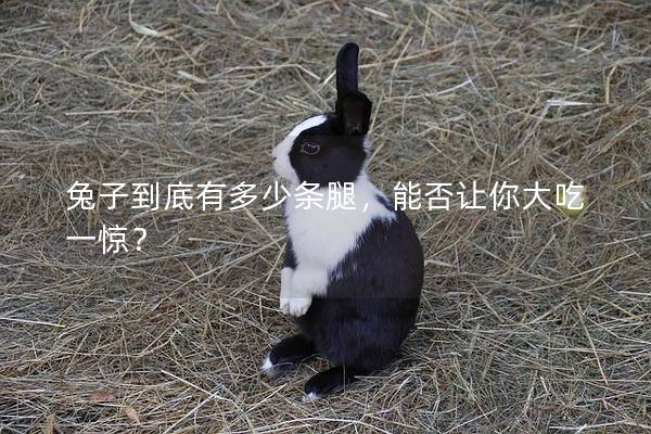兔子到底有多少条腿，能否让你大吃一惊？