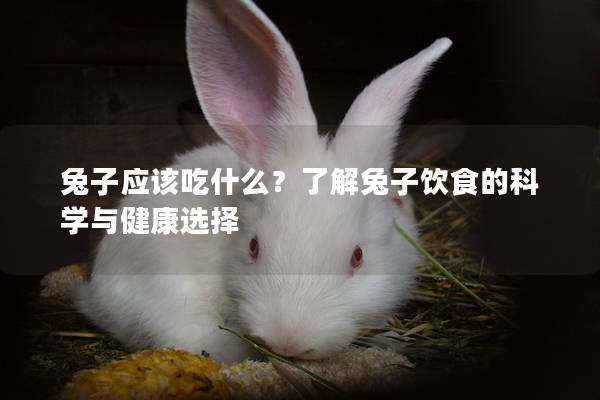 兔子应该吃什么？了解兔子饮食的科学与健康选择