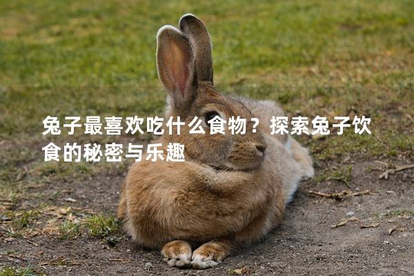 兔子最喜欢吃什么食物？探索兔子饮食的秘密与乐趣