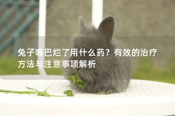 兔子嘴巴烂了用什么药？有效的治疗方法与注意事项解析