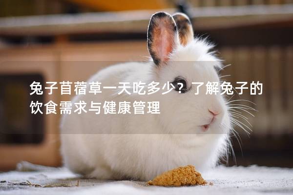 兔子苜蓿草一天吃多少？了解兔子的饮食需求与健康管理