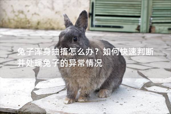 兔子浑身抽搐怎么办？如何快速判断并处理兔子的异常情况