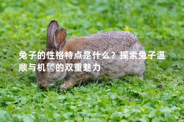 兔子的性格特点是什么？探索兔子温顺与机警的双重魅力