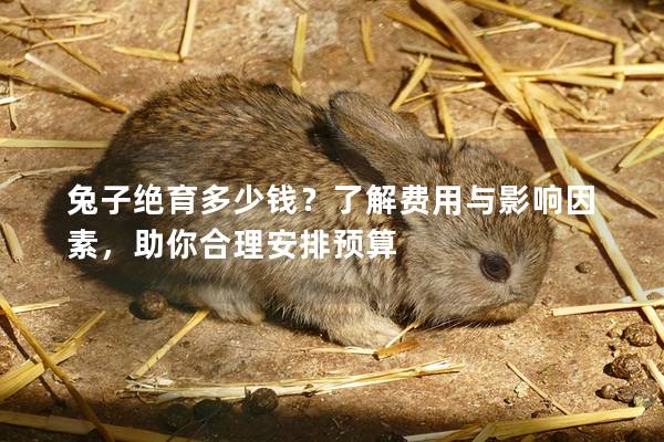 兔子绝育多少钱？了解费用与影响因素，助你合理安排预算