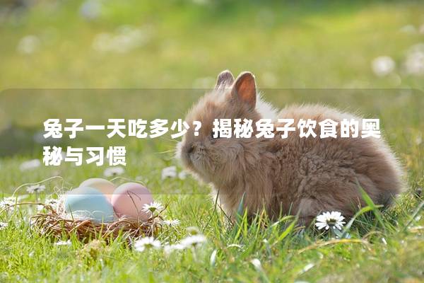 兔子一天吃多少？揭秘兔子饮食的奥秘与习惯