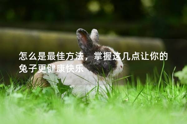 怎么是最佳方法，掌握这几点让你的兔子更健康快乐