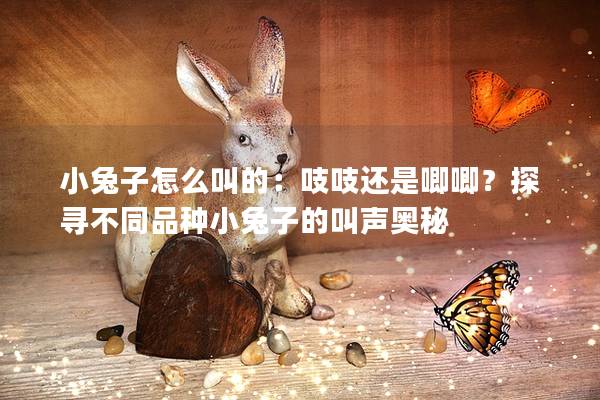 小兔子怎么叫的：吱吱还是唧唧？探寻不同品种小兔子的叫声奥秘