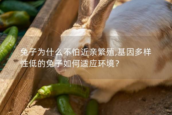 兔子为什么不怕近亲繁殖,基因多样性低的兔子如何适应环境？