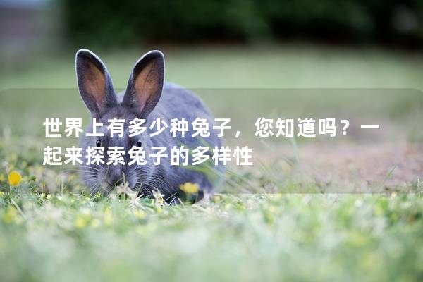 世界上有多少种兔子，您知道吗？一起来探索兔子的多样性