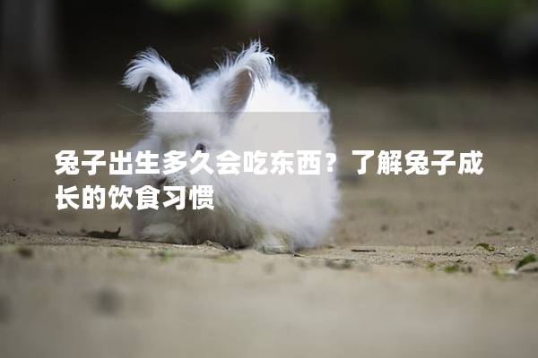 兔子出生多久会吃东西？了解兔子成长的饮食习惯