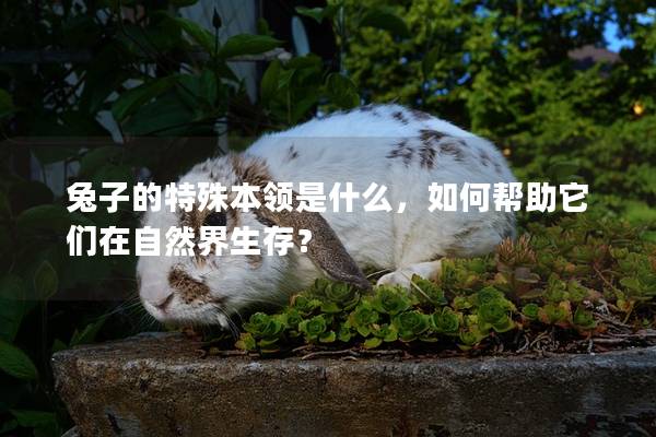 兔子的特殊本领是什么，如何帮助它们在自然界生存？
