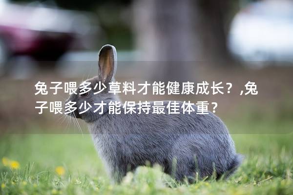 兔子喂多少草料才能健康成长？,兔子喂多少才能保持最佳体重？