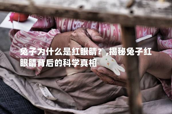 兔子为什么是红眼睛？,揭秘兔子红眼睛背后的科学真相