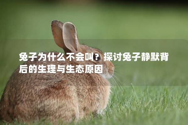 兔子为什么不会叫？探讨兔子静默背后的生理与生态原因