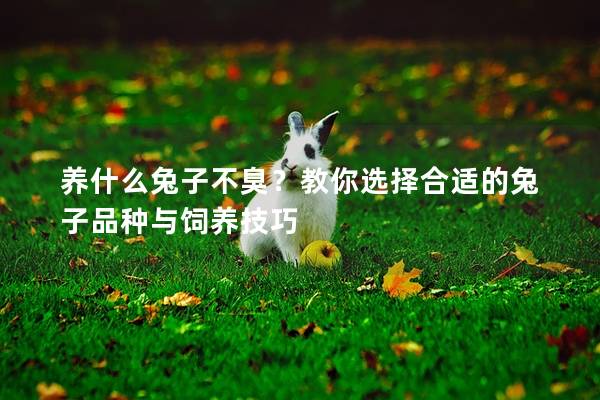 养什么兔子不臭？教你选择合适的兔子品种与饲养技巧