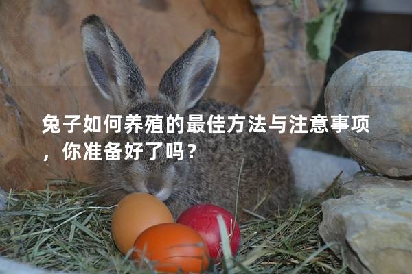 兔子如何养殖的最佳方法与注意事项，你准备好了吗？