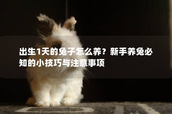 出生1天的兔子怎么养？新手养兔必知的小技巧与注意事项