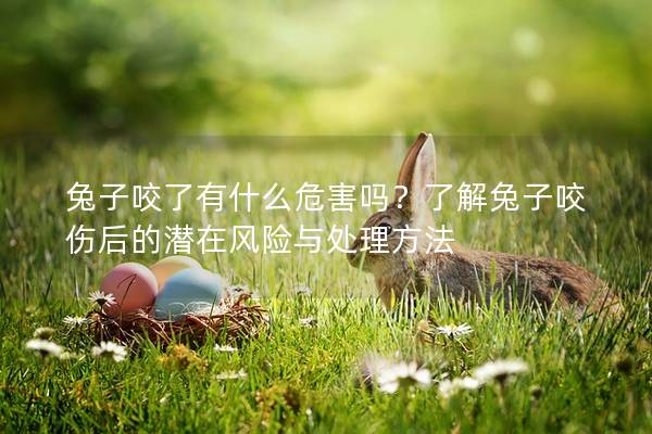 兔子咬了有什么危害吗？了解兔子咬伤后的潜在风险与处理方法