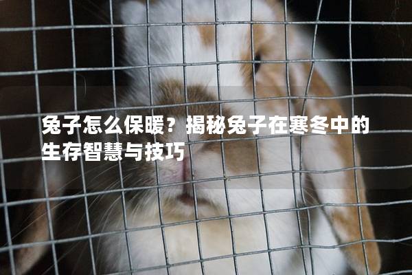 兔子怎么保暖？揭秘兔子在寒冬中的生存智慧与技巧