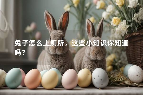 兔子怎么上厕所，这些小知识你知道吗？