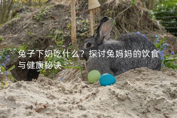 兔子下奶吃什么？探讨兔妈妈的饮食与健康秘诀