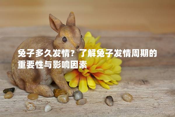 兔子多久发情？了解兔子发情周期的重要性与影响因素