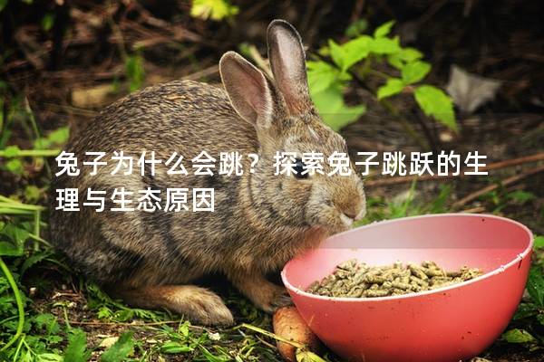 兔子为什么会跳？探索兔子跳跃的生理与生态原因