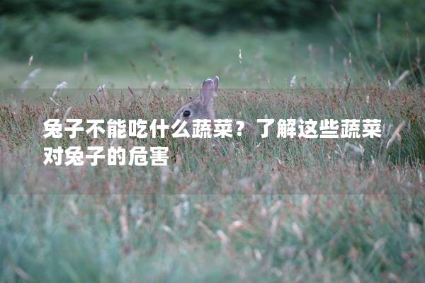 兔子不能吃什么蔬菜？了解这些蔬菜对兔子的危害