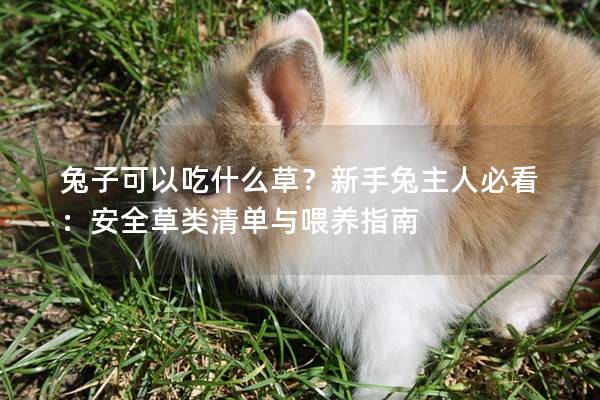 兔子可以吃什么草？新手兔主人必看：安全草类清单与喂养指南