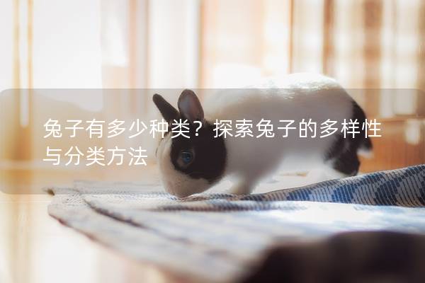 兔子有多少种类？探索兔子的多样性与分类方法