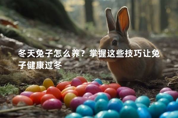 冬天兔子怎么养？掌握这些技巧让兔子健康过冬