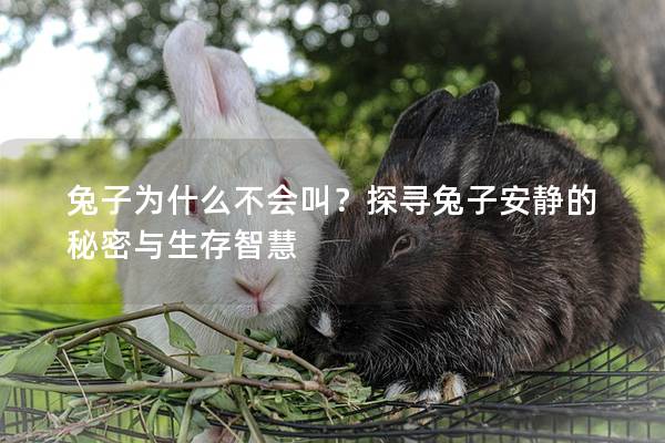 兔子为什么不会叫？探寻兔子安静的秘密与生存智慧